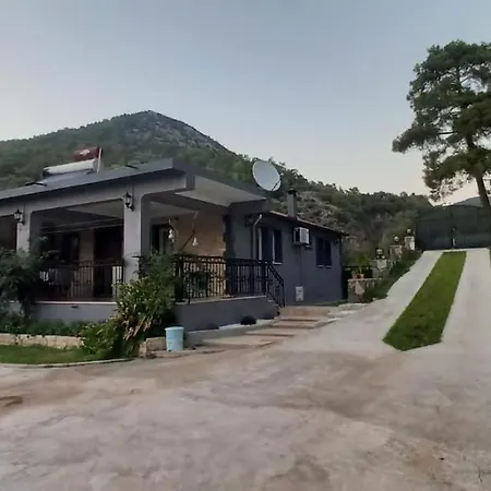 Muko Homes Doga Inlice غوجيك